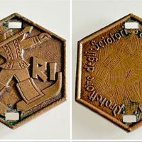 Medaglia Protettore URRI Alpinisti