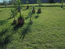 2-letto-garage-giardino-39