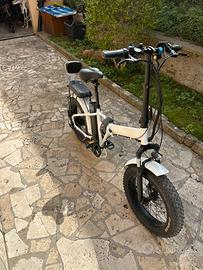 Bicicletta elettrica
