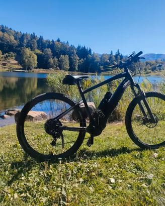E MTB Specialized XL