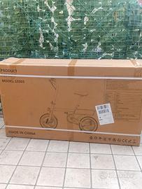 Bicicletta elettrica