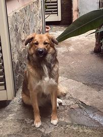 9 mesi