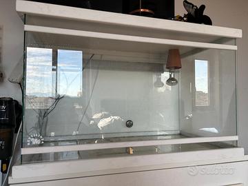 Teca per rettili/tartarughe