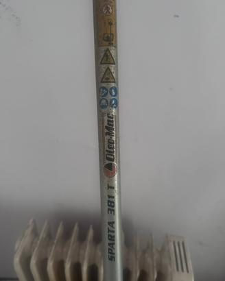 Decespugliatore