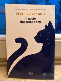 Il gatto dai sette nomi