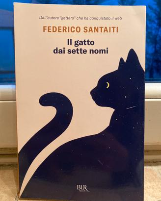 Il gatto dai sette nomi