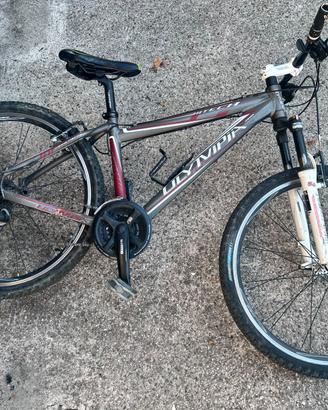 MTB olympia