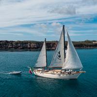 Barca a vela, motoveliero, veliero in legno