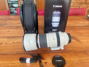 Canon RF 100-500mm f/4.5-7.1 L IS USM