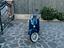 Immagine 1