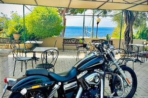 HARLEY DAVIDSON  DYNA WIDE GLIDE 1584  - 2013