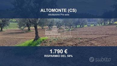 Immobile in asta di 3040 m² a Altomonte