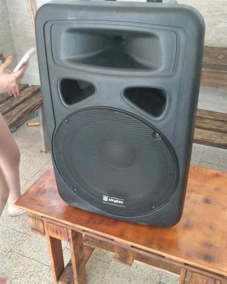 2 casse da dj come nuove 
