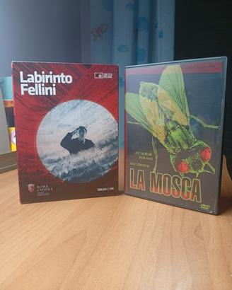 dvd set Fellini Cronenberg 