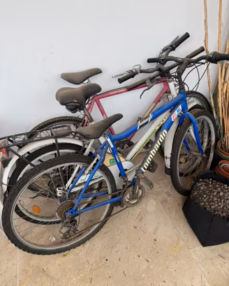Bici lombardo blu