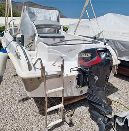 Barca open Bluline motore evinrude e-tec 40