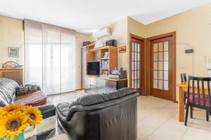 TRILOCALE CON CANTINA E BOX