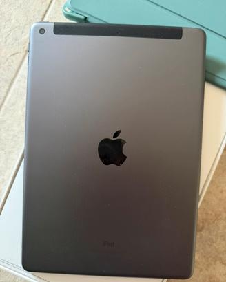 Apple ipad Wi-Fi cellular