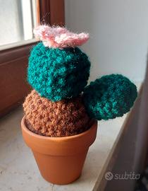 Piantina grassa decorativa