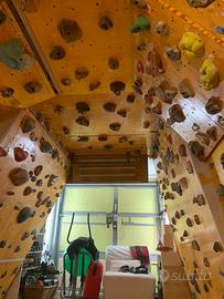 Palestra arrampicta