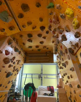 Palestra arrampicta