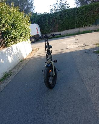 Bici elettrica
