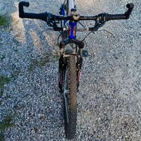 Bicicletta  per ragazzo