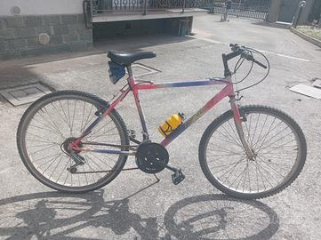 Mountain bike 