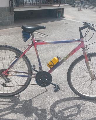 Mountain bike 