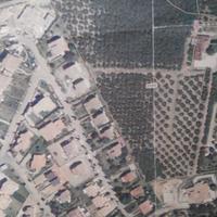 Terreno coltivato a Sutri VT pressi Colle Diana