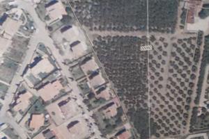 Terreno coltivato a Sutri VT pressi Colle Diana