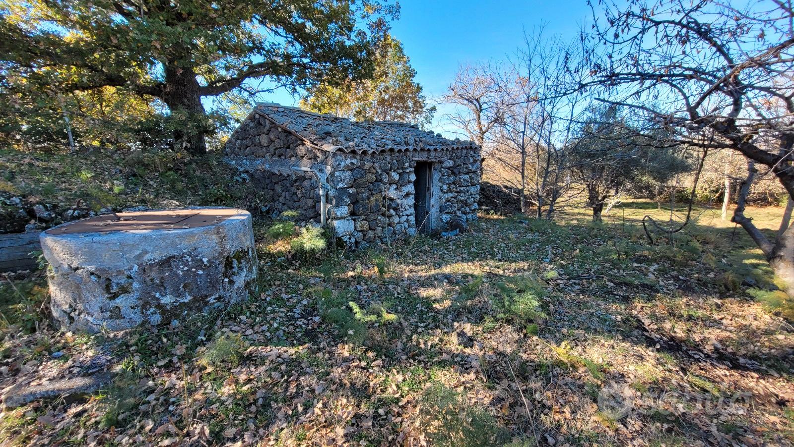 Bronte zona Maletto terreno 5400mq - Vista 3