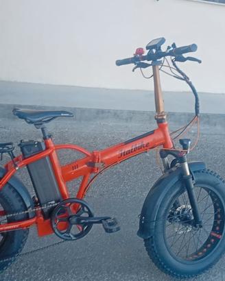 bici elettrica 250w 36v