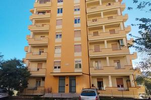 Grande appartamento soleggiato