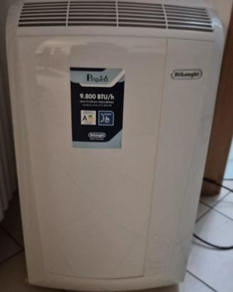 Condizionatore pinguino Delonghi