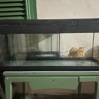 Acquario 100 litri con coperchio