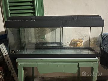 Acquario 100 litri con coperchio
