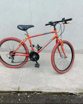 MTB CALIFORNIA 