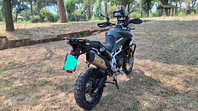 Triumph usata in vendita