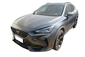 Cupra Formentor 2.0 TSI 4Drive DSG