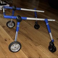 Sedia a rotelle per cani