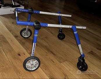 Sedia a rotelle per cani