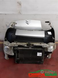 Musata ant CITROËN NEMO