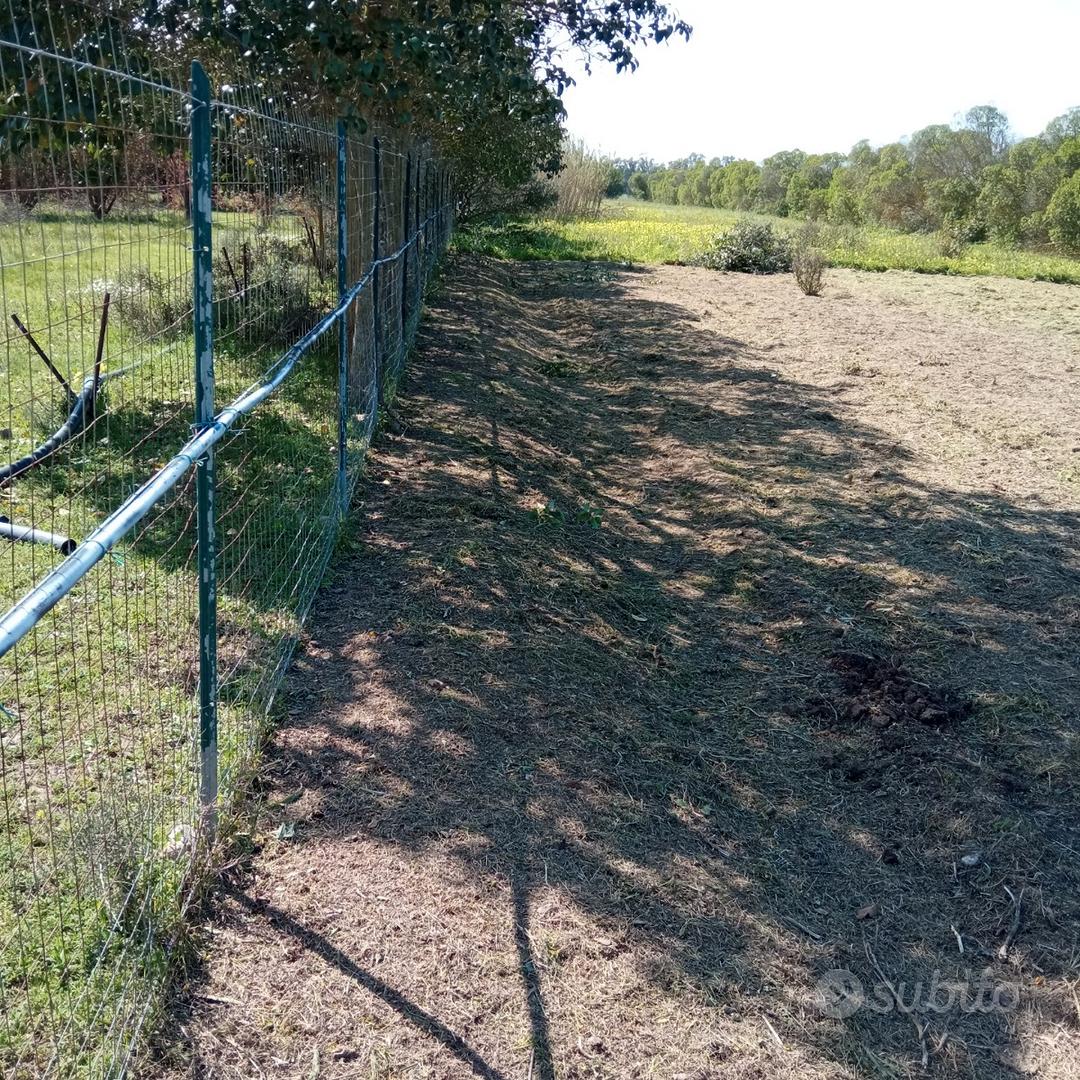 Terreno agricolo san sperate - Vista 3