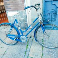 citybike LEGNANO BIANCHI EMTB