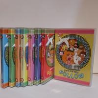 dvd POLLON