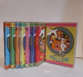 dvd POLLON