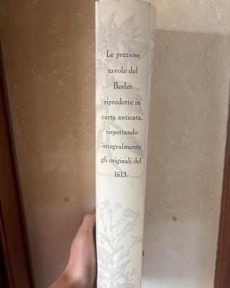 Tavole del Besler in carta antica