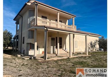 Villa ristrutturata con ampio uliveto