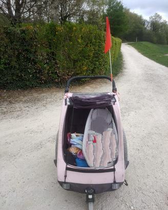 rimorchio per bambini Hauck Duo